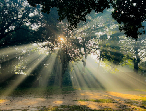 Preservation’s Quiet Challenge: Why Healing Our Teams Matters as Much as Saving Places  By Dr. Pamela J. Pine