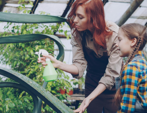 Caring for the Keepers: Why Conservation Needs Trauma-Informed Leadership  By Dr. Pamela J. Pine