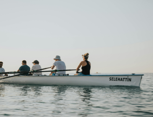 Resilient Water Teams: Moving Beyond the Technical to Embrace Human Strength  By Dr. Pamela J. Pine