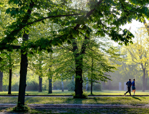 Healing Parks: Why Public Spaces Must Address Trauma to Truly Welcome All  By Dr. Pamela J. Pine