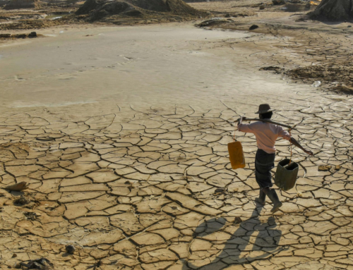 Why Trauma-Informed Leadership and Resilience Matter in Today’s Water Industry  By Dr. Pamela J. Pine
