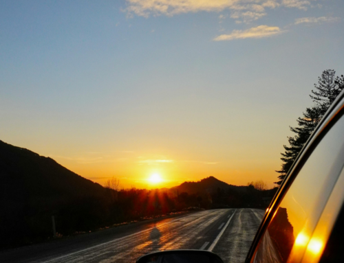 Why Trauma-Informed Innovation Cultures Drive Long-Term Success  By Dr. Pamela J. Pine