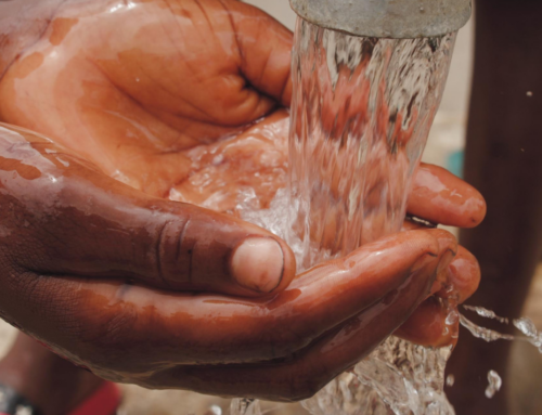 The Pipeline to Child Health: What Water Professionals Need to Know About Lead, PFAS, and Adverse Childhood Experiences