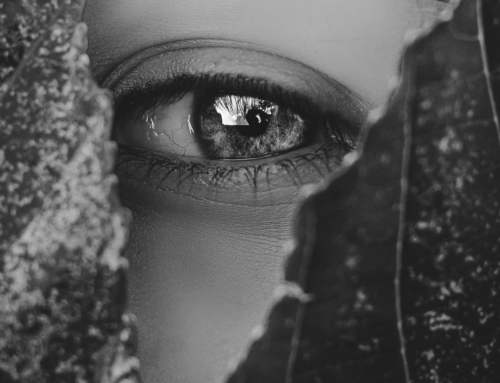The Claim Before the Claim: The Hidden Science Behind Childhood Trauma, Systems Risk, and Human Performance  By Dr. Pamela J. Pine, CFRE, PhD, MPH
